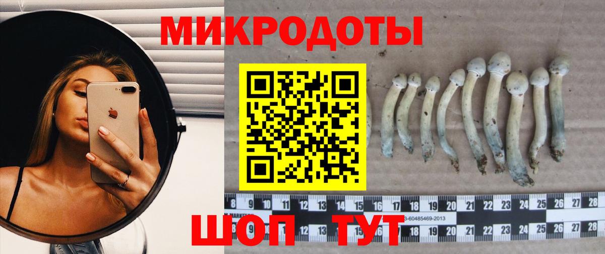 Псилоцибиновые грибы ЛСД Нижний Тагил