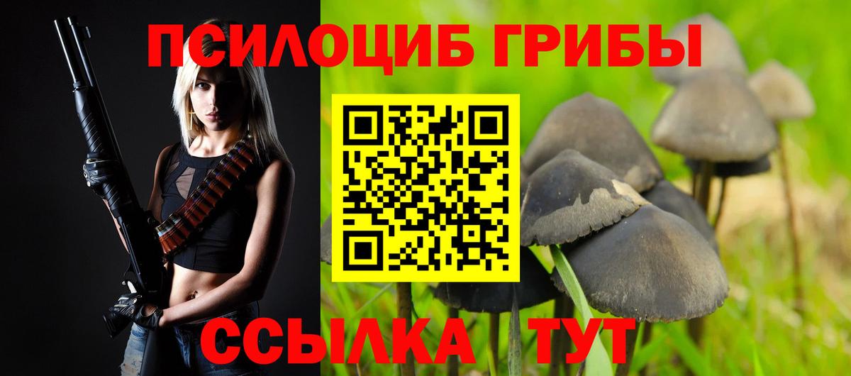 Псилоцибиновые грибы GOLDEN TEACHER  Вход с VPN  Нижний Тагил  Псилоцибиновые грибы мицелий 